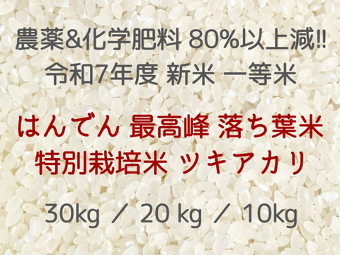13袋限定 収穫から3日~7日以内の【 生きたお米 】
農薬&化学肥料80%以上大幅減 !!
 生産者自身が食べるのを楽しみに待つ程のプレミアムな味
はんでん 最高峰 特別栽培 落ち葉米 ツキアカリ