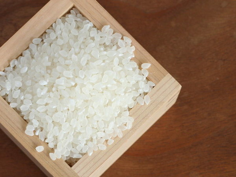 【合鴨農法】お米の甘み際立つ千葉県産こしひかり「かもまい」五分づき（4.5kg）