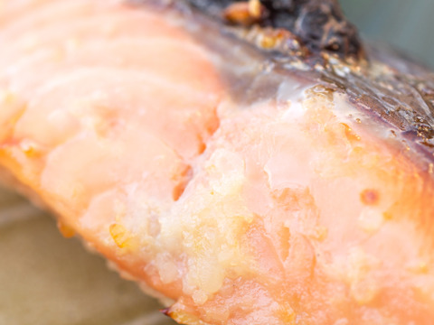 【４種食べ比べ】北海道知床産の鮭切り身４種味比べセット（塩麹・醤油麹・西京味噌・新巻鮭）完全無添加！