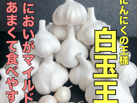 【今だけ200円引き‼️】買わなきゃ損✨青森バラにんにく特大500g🧄