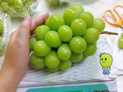 シャインマスカット2房1.4kg大粒ぷりぷり甘～い【贈答用】岡山県産大きめの房【ギフト】農家直送