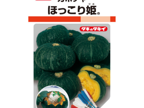 ミニ栗かぼちゃ1.5kg 2-3個 農薬・化学肥料不使用 ほっこり姫
