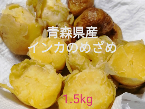 栗のように甘い 希少品種 青森県産インカのめざめ 1 5kg 青森県産 食べチョク 農家 漁師の産直ネット通販 旬の食材を生産者直送