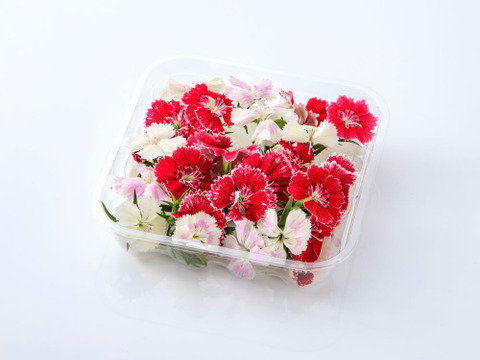 美食の演出！エディブルフラワー『SANOKA』ナデシコ MIX 20輪入り 食用花 ケーキ スイーツ デコレーションにも！