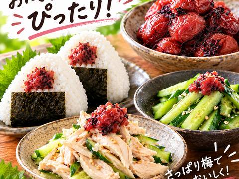 昔ながらの酸っぱい！紫蘇南高梅干し/800g/（クリックポスト）