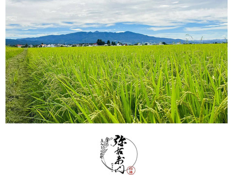 【家庭応援】天のつぶ10㎏※慣行栽培