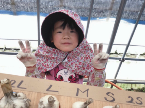 テレビで紹介された生にんにく10玉🧄青森にんにくの王様白玉王👑【月1000箱売れてます】