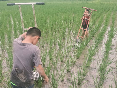 農家魂♥土どんぱ餅♥4種類詰合せ　8枚入300ｇ×4パック