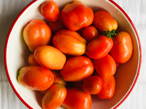 【有機JAS認証】南アルプスのオーガニック・ドライトマト サンマルツァーノ 60g