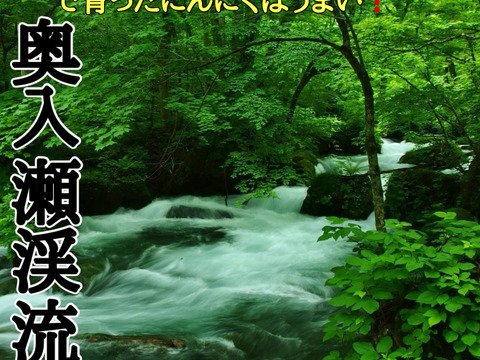 テレビで紹介された生にんにく10玉🧄青森にんにくの王様白玉王👑【月1000箱売れてます】