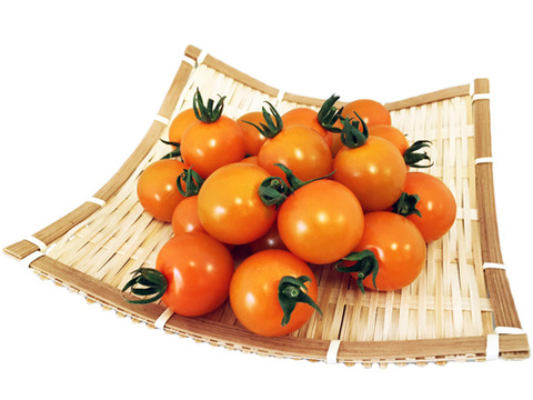 糖度8度以上の高糖度ミニトマト！鮮やかなオレンジ色とフルーツのよう