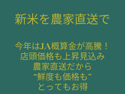 未精米【令和7年新米】ヒラヤマファームの米（10kg）
