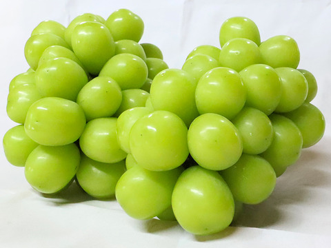 【贈答用】温室栽培シャインマスカット　2房（1.1Kｇ以上）