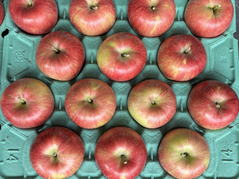 シナノスイート　ご家庭用　【5kg】