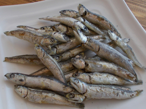 【💌ﾘｸｴｽﾄｾｯﾄ】ブリカツ10枚＆真鯛フライ（昆布締め風）10枚　スズキムニエル8枚＆釜揚げいりこバラ凍結500g