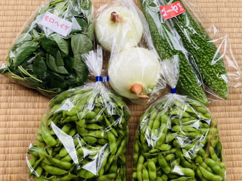 枝豆王国新潟から☆【1kg】まめ〜!枝豆!うんめよ(^^)と新鮮野菜3品♪