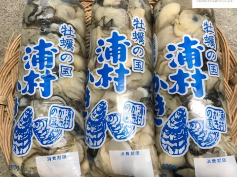 【追加販売】牡蠣好き歓喜の20%増量中！（500g）×4袋 【生牡蠣】【生食用】三重県産 浦村かき むき身 牡蠣 総重量2キロ
生で食べれる衛生的な牡蠣です！牡蠣 歳暮 熨斗   母の日父の日