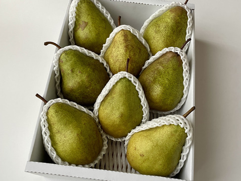 🍐【レア品種】【絶妙な酸味で濃厚な味わい】『シルバーベル』 ３キロ 【西洋なし】【西洋梨】【冬ギフト】【山形県天童市産】