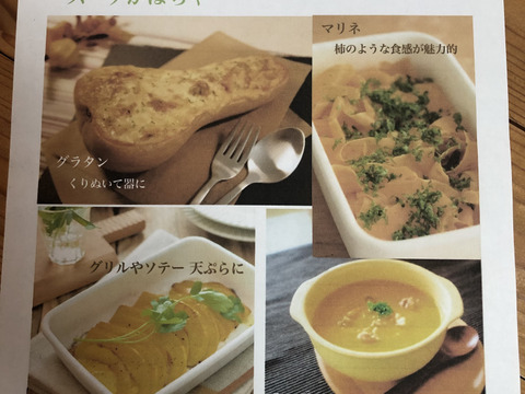 訳あり＊バターナッツ&そうめんかぼちゃのセット＊固定種＊3kg
