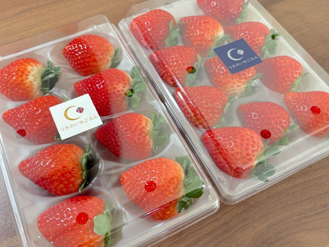 （2kg:8ケース）朝採れとちおとめ　いちご生産量日本一の街からお届けします★