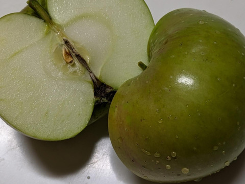 クッキングアップル　ブラムリー約2.3㎏