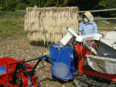 【rinmai さん専用】自然栽培（３年目）天日干しササニシキ【玄米１キロ、１分搗き４キロ】