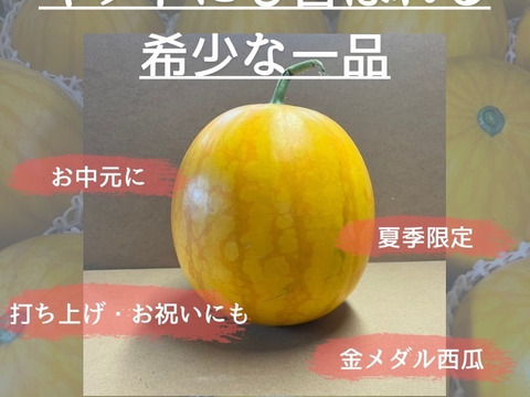 金メダルスイカ【1玉入り】ゴールド 家庭用から贈答可能 秋田県産 すいか フレッシュスイカ 夏の風物詩 ギフト お中元 夏丸 暑中見舞い 美味しい 甘い スイカ 糖度14 ゴールド