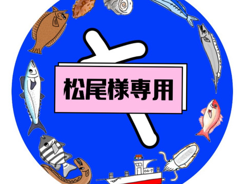 モンゴウイカ 3匹 3kg前後