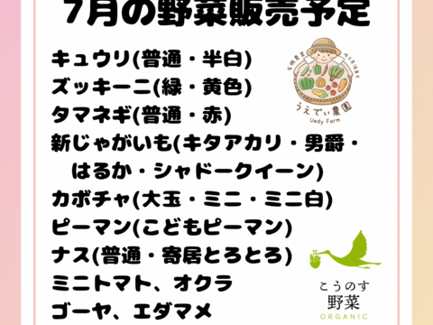 vege箱 野菜セット7種類 農薬・化学肥料不使用♪個包装