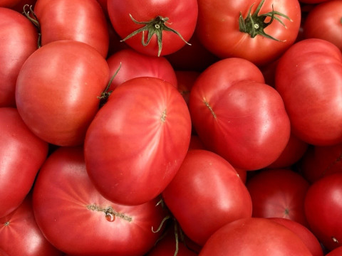 むぎゅっとがっしり！！個性派！濃旨フルーツトマト（箱入り・約1kg)