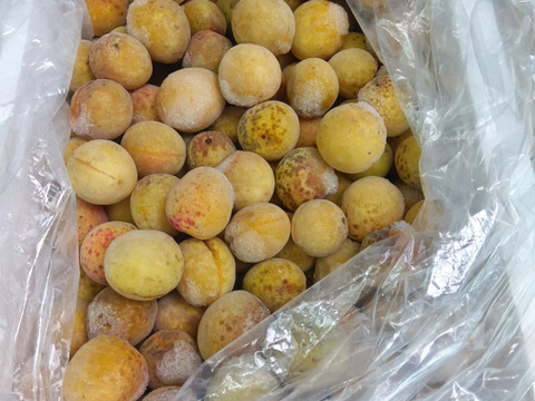 （訳アリ）冷凍梅(シロップ用)4kg