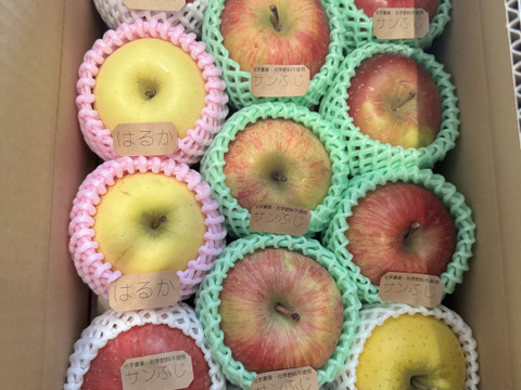 【2箱セット】☆農薬不使用りんご☆と特別栽培りんご(品種おまかせ)詰め合わせ3キロ（８〜１２玉）