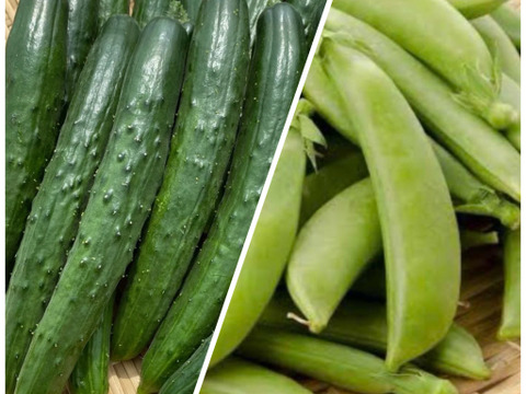 胡瓜とスナップエンドウのコラボセット‼️