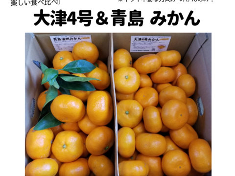【1月限定】青島＆大津みかんの食べ比べセット(4.5kg)