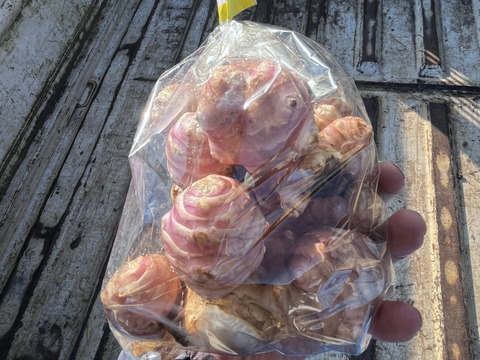 紫菊芋　イヌリンの宝庫　食べて腸活　2kg