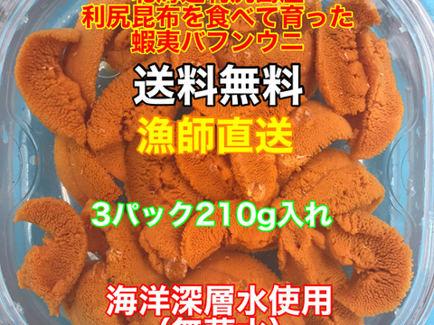 （実質送料無料）蝦夷バフンウニ（北海道利尻島産）3パック 210g