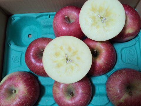 【朝市限定】令和7年度産早期予約セール7%OFF大玉から発送‼️🍎青森県産葉取らず完熟ふじ3キロ‼️味にとことんこだわりました😊