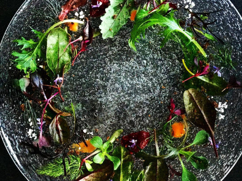 違いはわかります！G20サミット採用サラダ！10種のヨーロピアンリーフミックス【100gパック×7p】▲月・火・水・木着専用▲