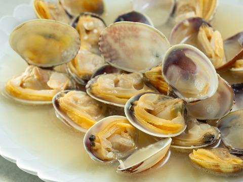 完全国産活あさり【さりひめ】1kg