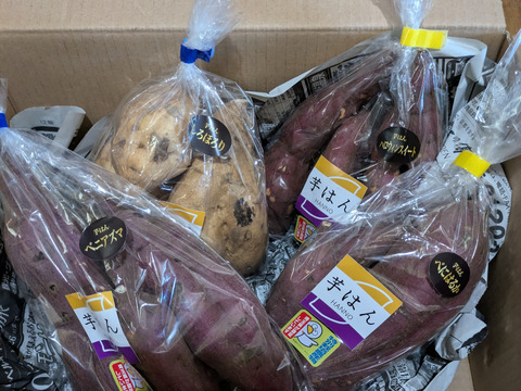 さつまいも４種おまかせ食べ比べセット2.1kg