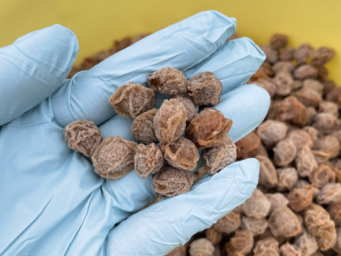 🍙【今だけ500円OFF】　
【無添加】群馬の梅　食べ比べセット　　　梅干し360g  乾燥梅干し300g