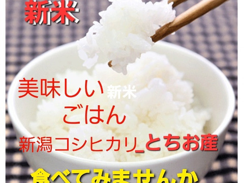 【令和6年産－新潟・とちお産コシヒカリ】豊かな山の湧水で育てたお米（精米2kgポリ袋／農家直送・送料相当分値引き中）／箱込み総重量／お試し米