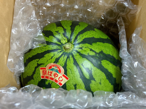 人気No. 1“特選”大玉スイカ🍉3L （8〜9kg）   1玉入り　一つ一つ厳選しお届けします👨🏽‍🌾