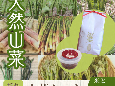 ＜開けてからのお楽しみ＞朝どれ直送天然山菜セット500gとつや姫2kgと味噌500g