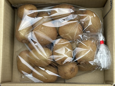 甘くて美味しいキウイフルーツ 2kg 中サイズ