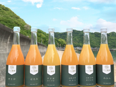 選べる！みかんジュース4本