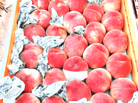 【予約販売】　しあわせな「桃」 約2kg  5~8玉