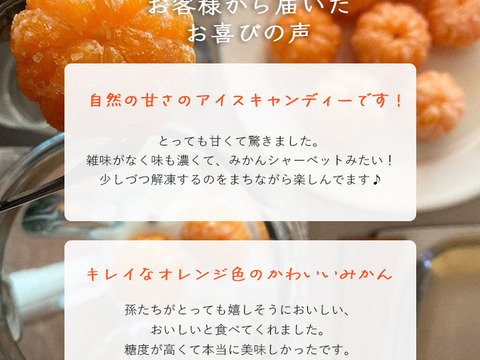 【訳あり】果汁たっぷり！えひめの冷凍むきみかん500g×3袋