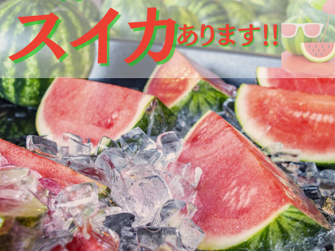 【300円割引中】小玉スイカ 2玉 糖度上昇中 本当に甘い 小玉スイカ 小玉西瓜 秋田県産 夏松チッチェ ギフト お中元 夏丸 2玉入り 暑中御見舞い  甘い チッチェ  お中元 ギフトピノガール