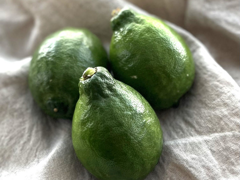 家庭用　グリーン璃の香　国産レモン　瀬戸内産　5㎏